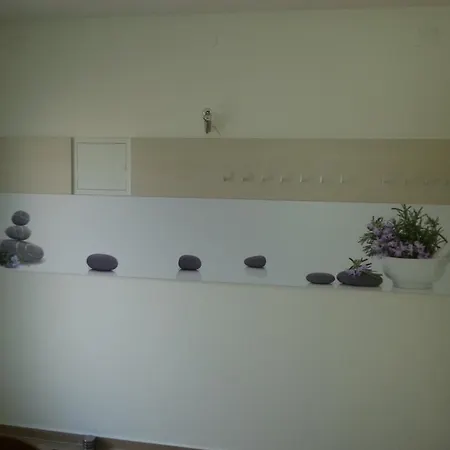 Summer Delight Apartment Savudrija