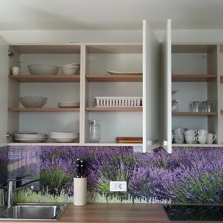 Summer Delight Apartment Savudrija