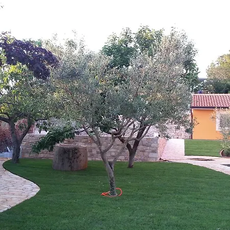Summer Delight Appartamento